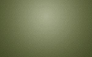 绩效管理